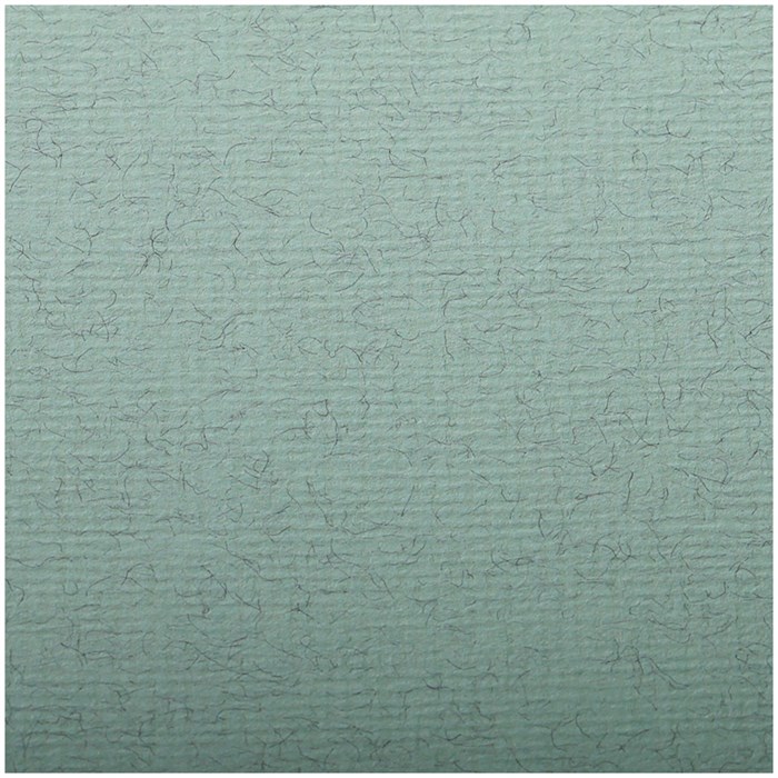 Бумага для пастели 25л. 500*650мм Clairefontaine "Ingres", 130г/м2, верже, хлопок, морская волна - фото 176656