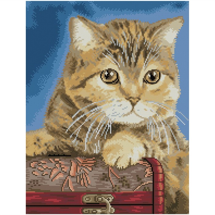 Алмазная мозаика ТРИ СОВЫ "Кошка", 40*50см, холст на деревянном подрамнике, картонная коробка с плас - фото 352709