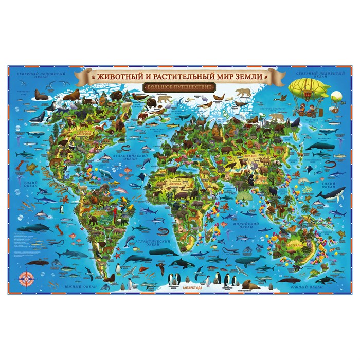 Карта мира для детей "Животный и растительный мир Земли" Globen, 590*420мм, интерактивная - фото 370697