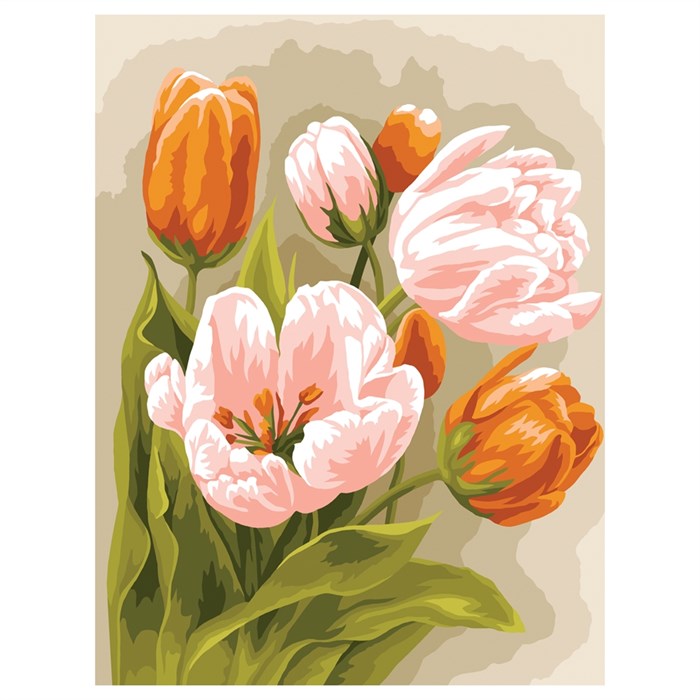 Картина по номерам на картоне ТРИ СОВЫ "Тюльпаны", 30*40, с акриловыми красками и кистями - фото 371192