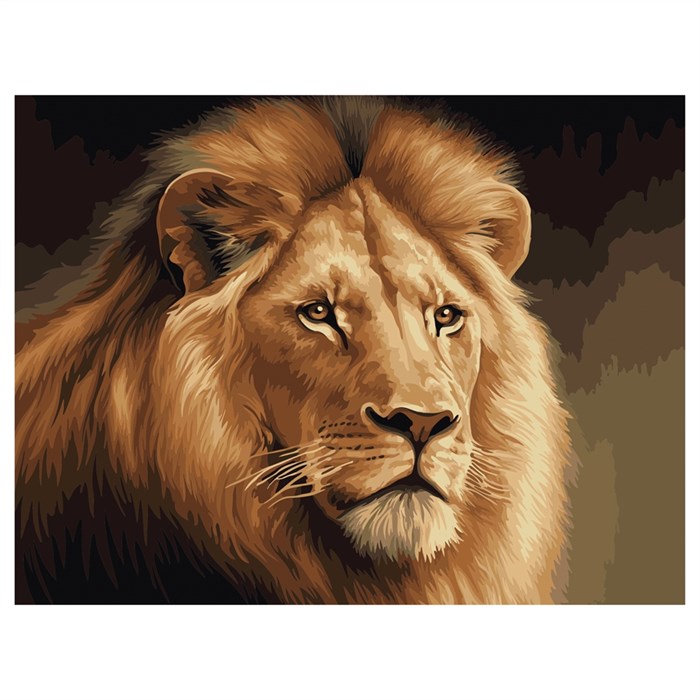 Картина по номерам на холсте ТРИ СОВЫ "Царь зверей", 40*50, с акриловыми красками и кистями - фото 372222