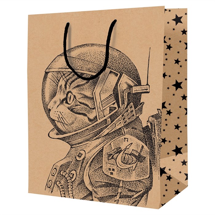 Пакет подарочный 18*23*10см ArtSpace "Space Cat", крафт - фото 384528