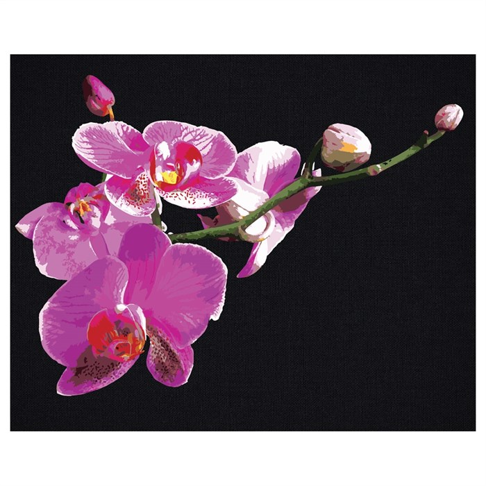 Картина по номерам на черном холсте ТРИ СОВЫ "Цветы орхидеи", 40*50, c акриловыми красками и кистями - фото 393603