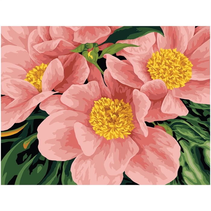 Картина по номерам на картоне ТРИ СОВЫ "Розовый цвет", 30*40, с акриловыми красками и кистями - фото 406699
