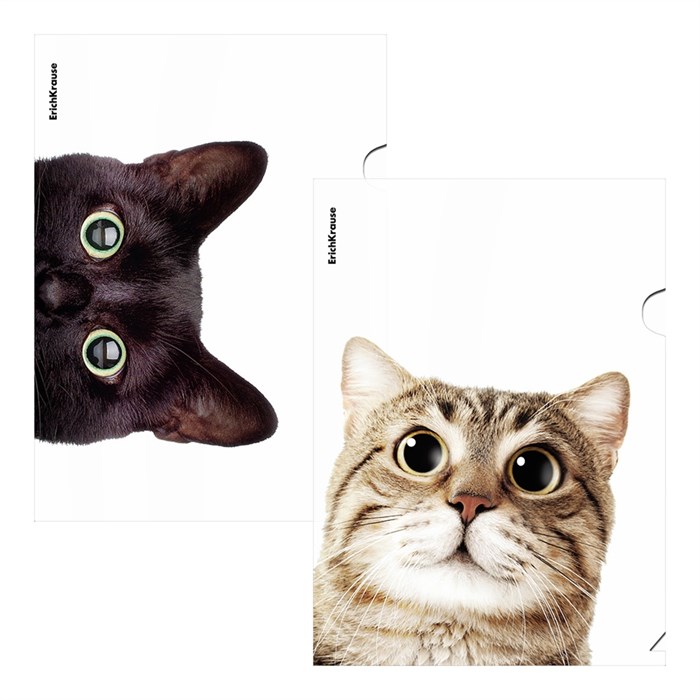 Папка-уголок пластиковая ErichKrause Hiding Cats, A4, ассорти (в пакете по 12 шт.) - фото 456409