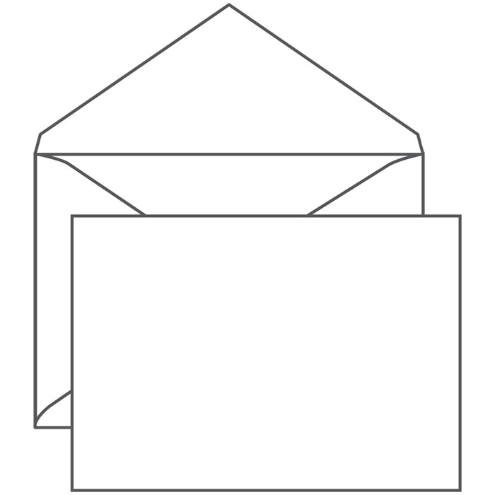 Конверт C4, Ряжская печатная фабрика, 229*324мм, б/подсказа, б/окна, б/клея, треугольный клапан R000761 - фото 531911