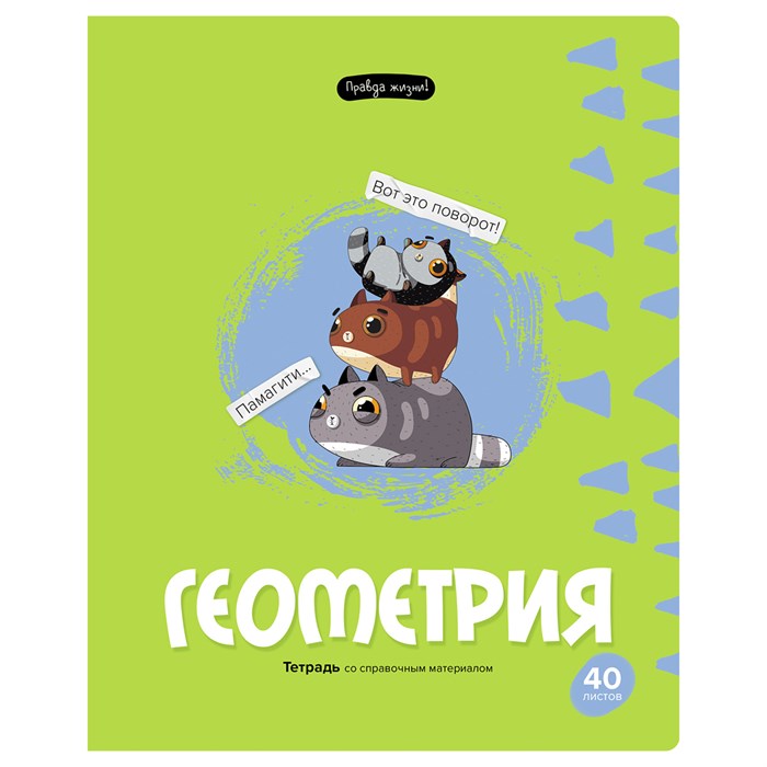 Тетрадь предметная 40л. BG "Правда жизни" - Геометрия R355007 - фото 600270