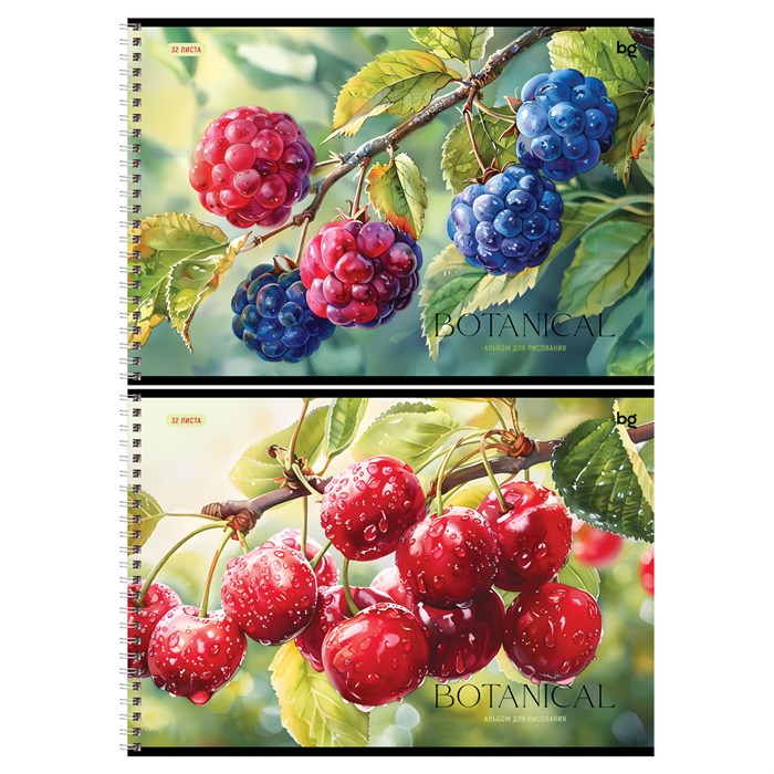 Альбом для рисования 32л., А4, на гребне BG "Botanical" R378708 - фото 652008