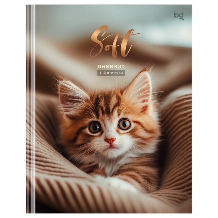 Дневник 1-4 кл. 48л. (твердый) BG "Soft", матовая ламинация R376842 - фото 652759
