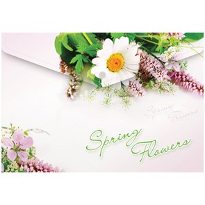 Папка-конверт на кнопке А4 Berlingo "Spring Flowers", 180мкм
