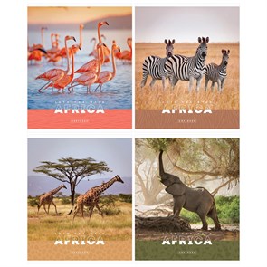 {{productViewItem.photos[photoViewList.activeNavIndex].Alt || productViewItem.photos[photoViewList.activeNavIndex].Description || 'Тетрадь 96л. А5, клетка ArtSpace &quot;Животные. Nature of Africa&quot;, суперэконом'}}