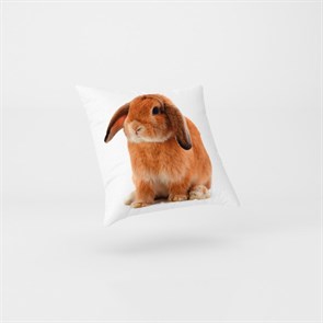 Подушка "Грустный кролик", 30*30*5 см