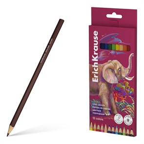 Цветные карандаши деревянные ErichKrause Safari трехгранные, грифель 3,3 мм, 12 цветов (в коробке с европодвесом 12 шт)