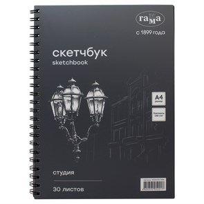 Альбом для графики, 30л., А4, на спирали Гамма "Студия", черный, 140г/м2 R370394