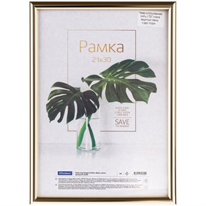 {{productViewItem.photos[photoViewList.activeNavIndex].Alt || productViewItem.photos[photoViewList.activeNavIndex].Description || 'Рамка пластиковая 21*30см, OfficeSpace &quot;Basic&quot;, небьющееся стекло, золото'}}