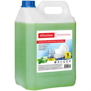 Средство для мытья посуды OfficeClean Professional "Алоэ и зеленый чай", канистра, 5л R246164