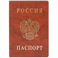Обложка для паспорта ДПС, ПВХ, тиснение "Герб", коричневый - фото 213257