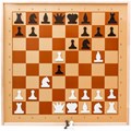 Шахматы демонстрационные настенные, Десятое королевство, магнитные, поле 70*70см - фото 254047
