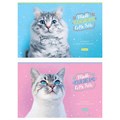 Альбом для рисования 32л., А4, на скрепке ArtSpace "Питомцы. Funny cats" - фото 353995