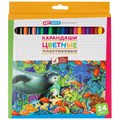 Карандаши цветные пластиковые ArtSpace "Подводный мир", 24цв., заточен., картон, европодвес - фото 370455
