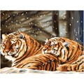Картина по номерам на холсте ТРИ СОВЫ "Тигриная любовь", 40*50, с акриловыми красками и кистями - фото 372188