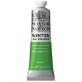 Краска масляная художественная Winsor&Newton "Winton", 37мл, туба, фтало-зеленый желтый оттенок - фото 378699