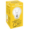Лампа накаливания Старт Б 75W, E27, прозрачная - фото 380498