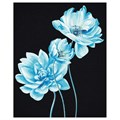 Картина по номерам на черном холсте ТРИ СОВЫ "Голубые цветы", 40*50, c акриловыми красками и кистями - фото 392529