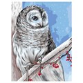 Картина по номерам на холсте ТРИ СОВЫ "Белая сова", 30*40, с акриловыми красками и кистями - фото 406726