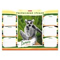 Расписание уроков ErichKrause Lemur Style, А3 - фото 459611