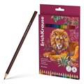 Цветные карандаши деревянные ErichKrause Safari трехгранные, грифель 3,3 мм, 18 цветов (в коробке с европодвесом 18 шт) - фото 475815