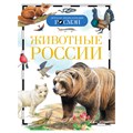 Энциклопедия Росмэн 170*220, "Детская энциклопедия Росмэн. Животные России", 96стр., 10+ R374992 - фото 530526