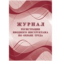 Журнал регистрации вводного инструктажа по охране труда А4, 16л. на скрепке, блок офсетная бумага R343035 - фото 530631