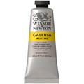 Краска акриловая художественная Winsor&Newton "Galeria", 60мл, туба, бледная умбра R316265 - фото 534720