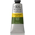 Краска акриловая художественная Winsor&Newton "Galeria", 60мл, туба, зеленый оливковый R316283 - фото 534763