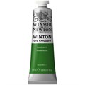 Краска масляная художественная Winsor&Newton "Winton", 37мл, туба, глауконит R316702 - фото 536465