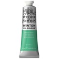 Краска масляная художественная Winsor&Newton "Winton", 37мл, туба, зеленый изумруд R316710 - фото 536471