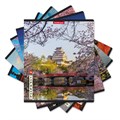 Тетрадь общая ученическая ErichKrause Mysterious Japan, 96 листов, клетка, глянцевая ламинация_MIX-PACK EK58292 - фото 634259