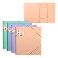 Папка для тетрадей на резинках пластиковая ErichKrause Matt Pastel Bloom, A5+, ассорти (в пакете по 4 шт.) EK61204 - фото 644074