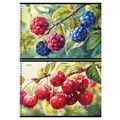 Альбом для рисования 32л., А4, на гребне BG "Botanical" R378708 - фото 652008